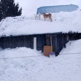 Фотография от наталья данилова