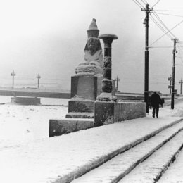 Фотография от Алексей Бредихин