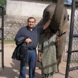 Фотография "Индо-пакистанский слон, Пакистан, 2006 год"
