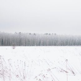 Фотография от Денис Сергеевич