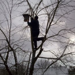 Фотография "піклуємося про друзів своїх менших ..."