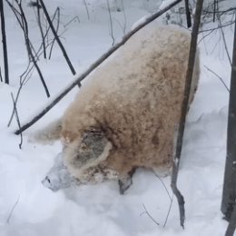 Фотография от Светлана Покало