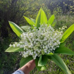 Фотография от Гузалия Латыпова (Халиуллина)