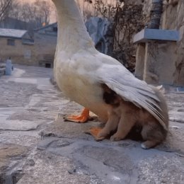 Фотография от Михаил - Романтик - Неисправимый