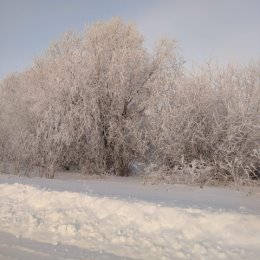 Фотография от Нина Рулева (Цибизова)