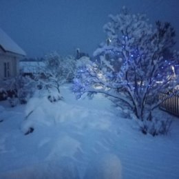 Фотография от Александр Жамойдин