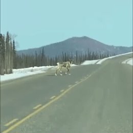 Фотография от Василий ЛАПИН