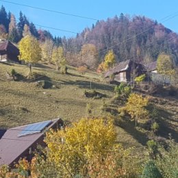 Фотография от дмитрий гродский