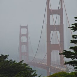 Фотография "Golden Gate Bridge, SF, CA"