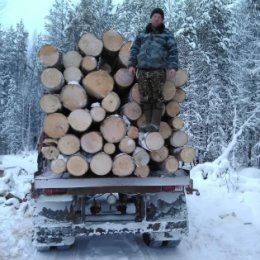 Фотография "Первый день вывозки леса!!!
06.01.2018 г."