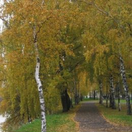 Фотография "Друзья, помогите найти кота на картинке. Ответ пишите в комментариях. Игра Найди кота - http://www.odnoklassniki.ru/game/findcat"