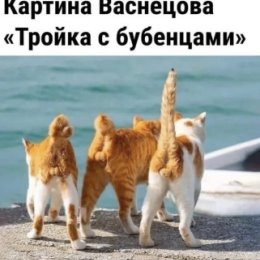 Фотография от Нэйля Гуля