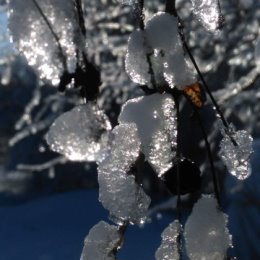 Фотография от Светлана Анайкова