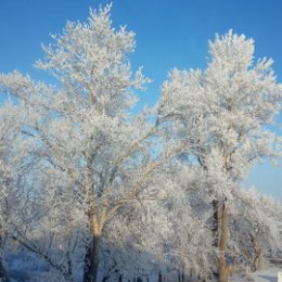 Фотография от Ася Мукатаева