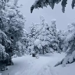 Фотография от олег кандауров