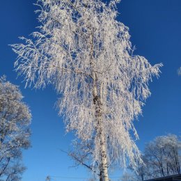 Фотография от Александр Трубицын