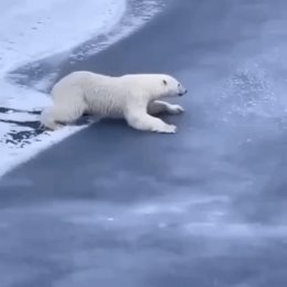 Фотография от Андрей Лисовский