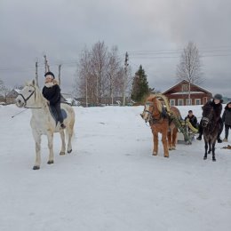 Фотография от Алексей Штарев