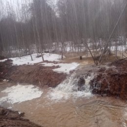 Фотография "Перезимовали!
Пахнуло прохладной из леса,
Канавы в грязи протечнрй,
На солнце дороги, как тесто,
Но, как хорошо! Боже, мой! "