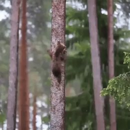 Фотография от Дмитрий Алехин