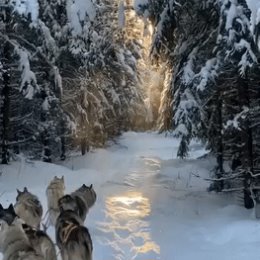 Фотография от Николай Смелов