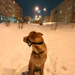 Фотография от Сергей Рощин