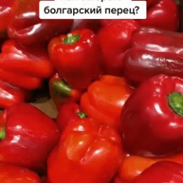 Фотография от марат садыков