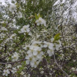 Фотография от Татьяна Серебрякова