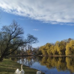 Фотография от Александра Бутенко (Симонова)