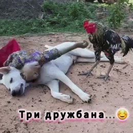 Фотография от Татьяна Никитина