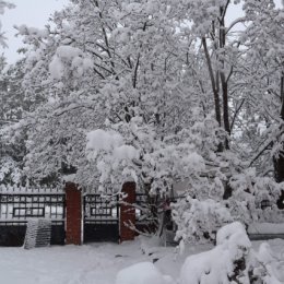 Фотография ""Когда весна придет, не знаю..." За это порицанье маю)))"