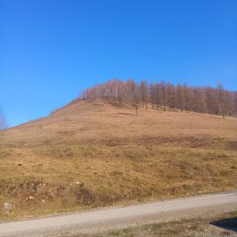 Фотография от Евгения Мащенко