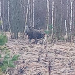 Фотография от Иван Панин