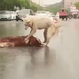 Фотография от Светлана Каргапольцева