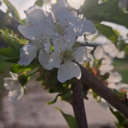 Фотография от Конный клуб Конное Подворье