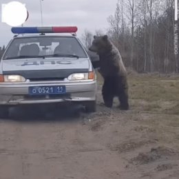 Фотография от Юрий Вичугжанин