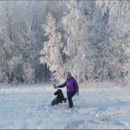 Фотография "Волшебный мир зимнего леса! "