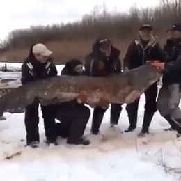 Фотография от Володя Роднев