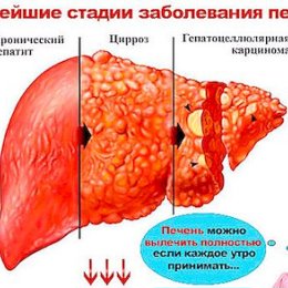 Фотография от Иман Сулайманкулов