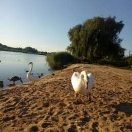 Фотография от Людмила Ковач