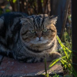 Фотография от Лариса Надыкто (Бегунова)