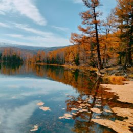 Фотография от Лилия Овчинникова (Маслюк)