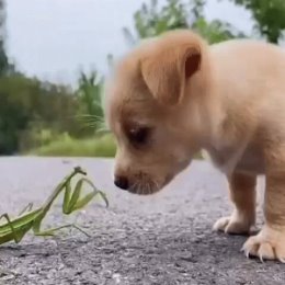 Фотография от 🐾Мариша🐾 Кожанова🐾