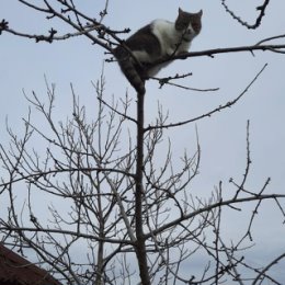 Фотография от Игорь Гончаренко