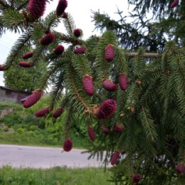 Фотография от Ольга Мелех(Акуленко)