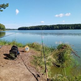 Фотография от Евгений Беспечалов