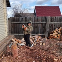 Фотография "Складываем дрова."
