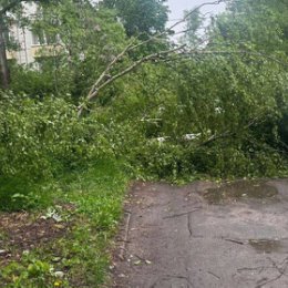 Фотография от НОВЫЙ ВЕК - СМИ ТАМБОВСКОЙ ОБЛАСТИ