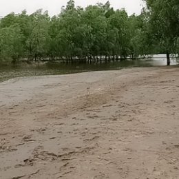 Фотография от Галина Волкова