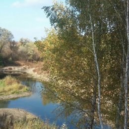 Фотография от Таня Горина(Поддубная)